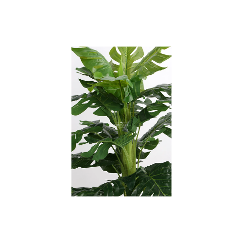 Yapay Çiçek Deposu Siyah Saksıda Yapay Deve Tabanı Ağacı 25 Yapraklı 150 cm