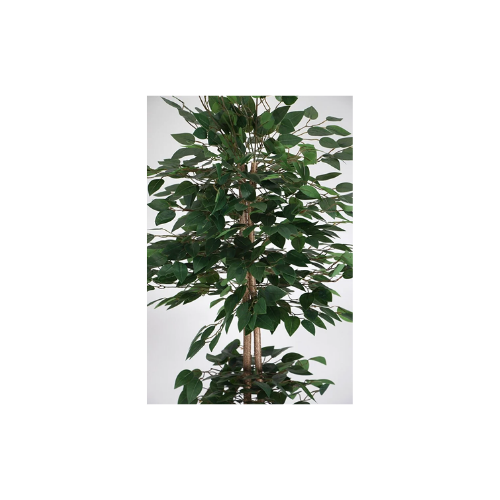 Yapay Çiçek Deposu Yapay Benjamin Ağacı 155 Cm Ağaç Gövdeli Yeşil (ahşap Antrasit Saksı)