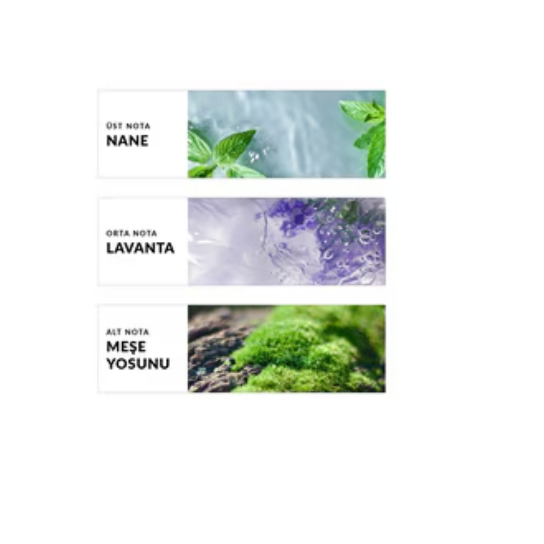 Avon Musk Marine Erkek EDT 75 ml