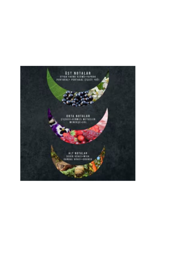 Watsons Shadow Night Erkek Parfüm EDT 100 ml