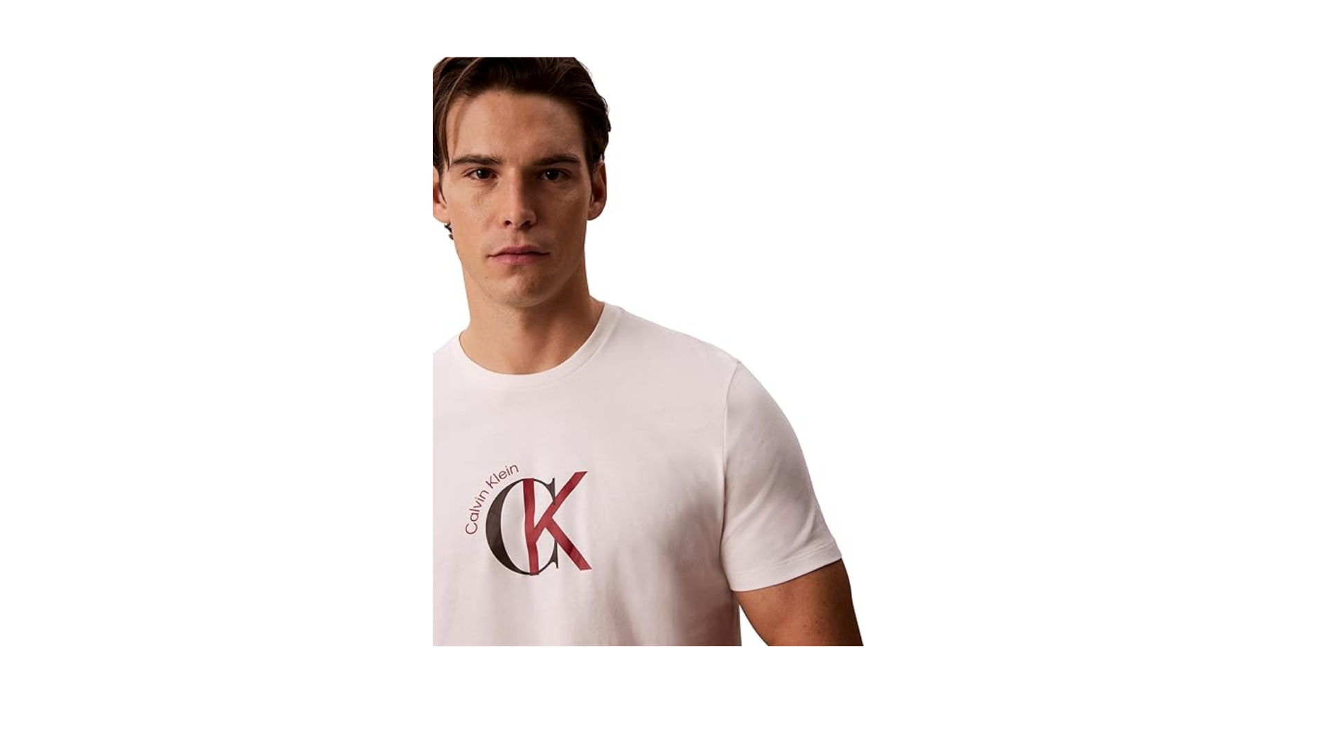 Calvin Klein SS 30S WHSL CKJ 2TONE CK GRAPHIC T-shirt Erkek