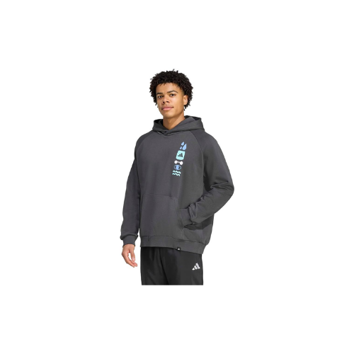 Adidas Gfx Hoodıe Kapüşonlu Sweatshirt Erkek