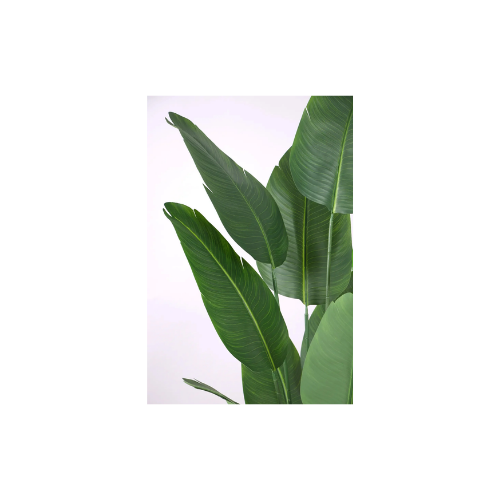 Yapay Çiçek Deposu Yapay Ağaç Starliçe Gerçek Dokunuş 12 Dev Yaprak Yeşil 185 Cm