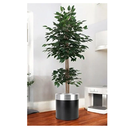 ERHAN FLOWERS Yapay Agaç 180 Cm Islak Doku Benjamin Siyah Saksı Gümüş Kemer